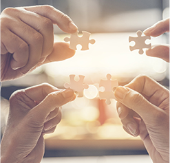 Strategic partnership program